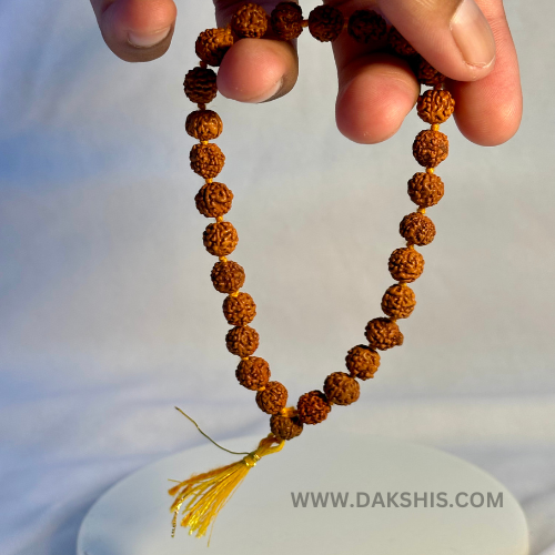 Divine 5 Mukhi Rudraksha Mala (29 Beads)