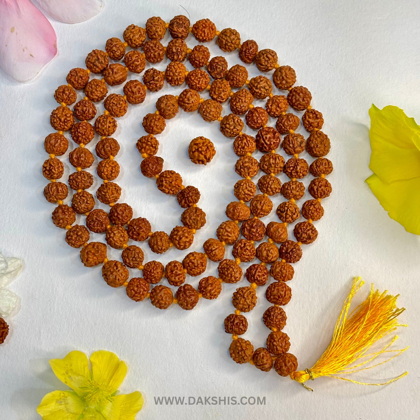 Divine 108 Beads Rudraksha Mala